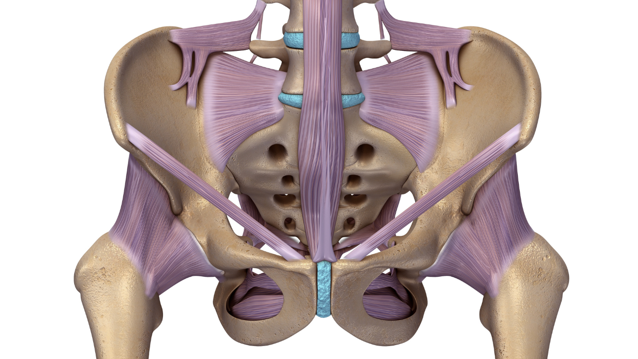 Chronic Pelvic Pain - Illinois Chiropractic Society