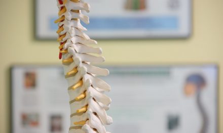 Hydroxyapatite Deposition in the Spine