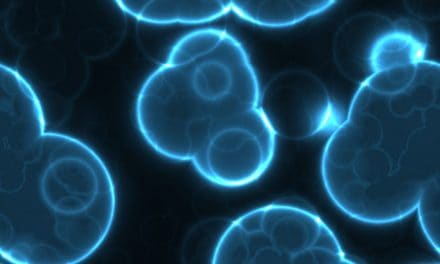 Illinois Department of Financial and Professional Regulation Issues Release About Stem Cell Therapy