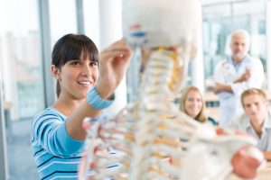Student examining model skeleton