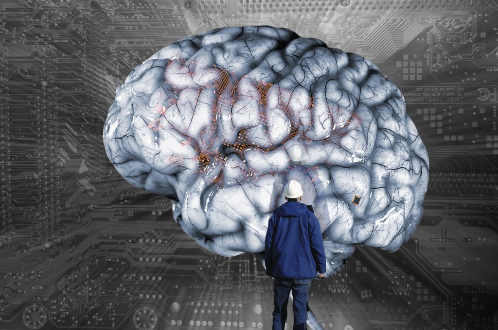 Person looking at a brain