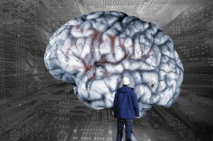 Person looking at a brain