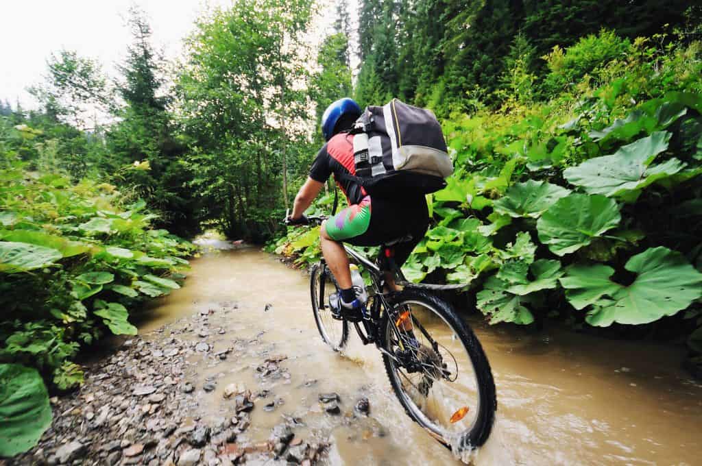 Person mountain biking