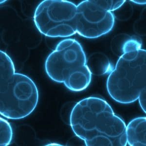 Image of cells