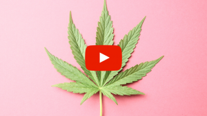 Marijuana Leaf