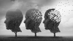 Trees in the shape of heads