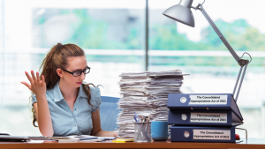 Person reviewing documents