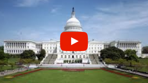 The U.S. Capitol