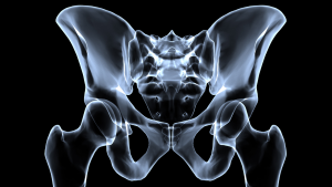 Image of pelvis