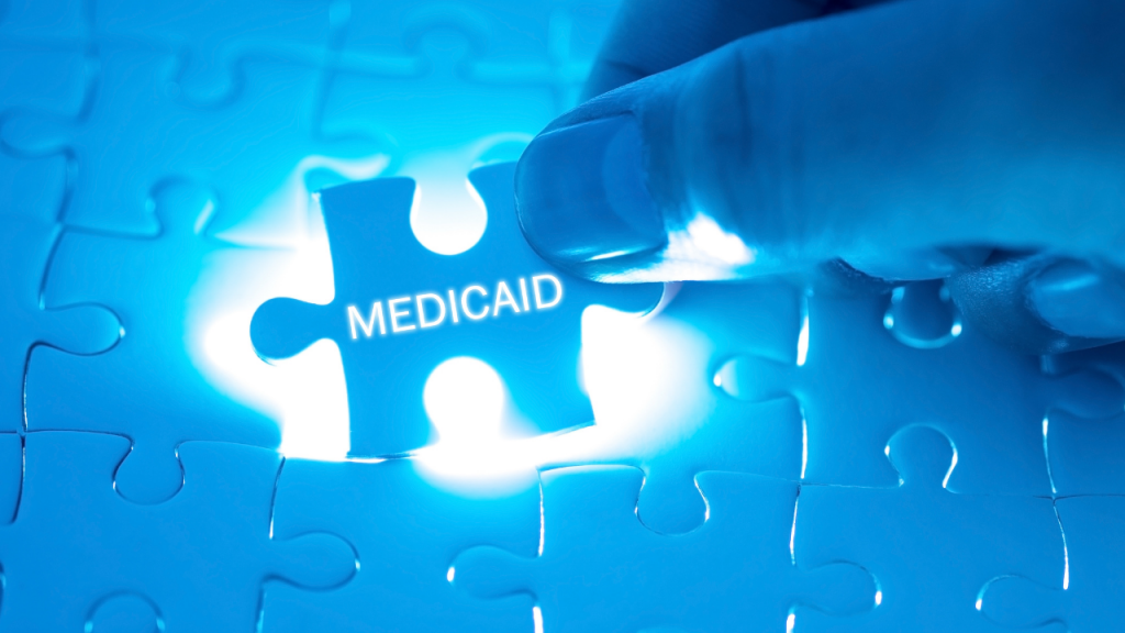 Medicaid puzzle piece