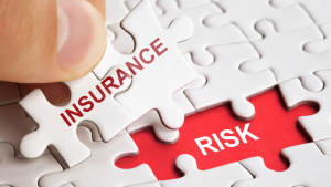 Person holding "insurance" puzzle pieces