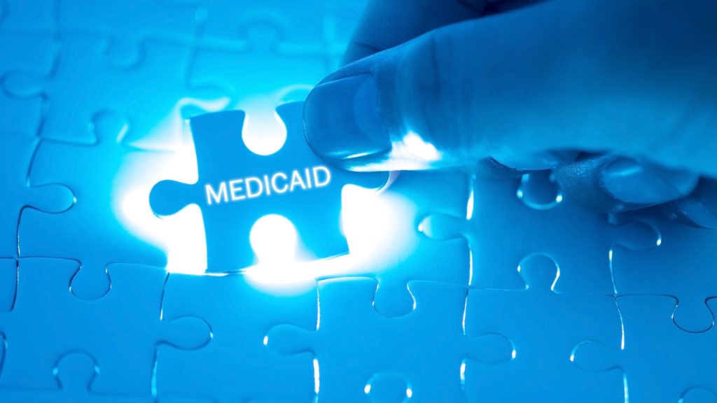 Medicaid puzzle piece
