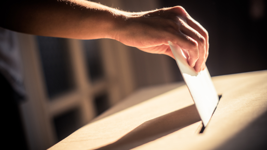 Person voting