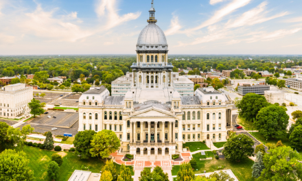 ICS MEMBER ELECTED TO HOUSE; DEMOCRATS PICK UP SEATS