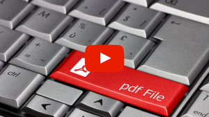 pdf button on a keyboard