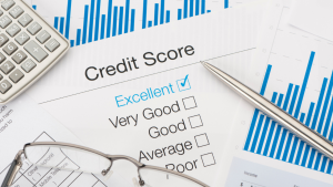 Credit Score reports