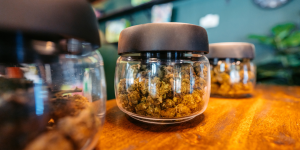 marijuana buds in jars