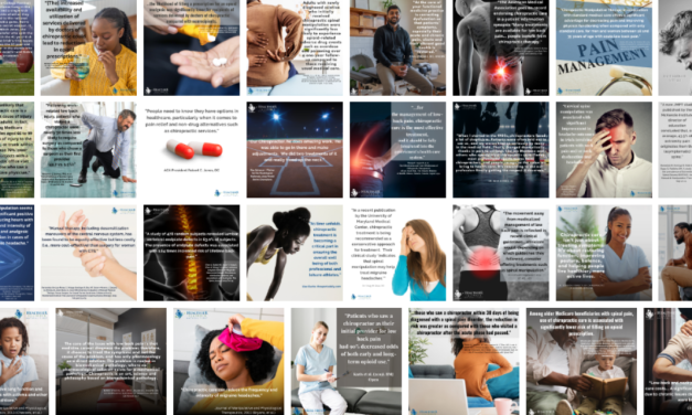 2025 Chiropractic Healthcare Month: Social Media Library