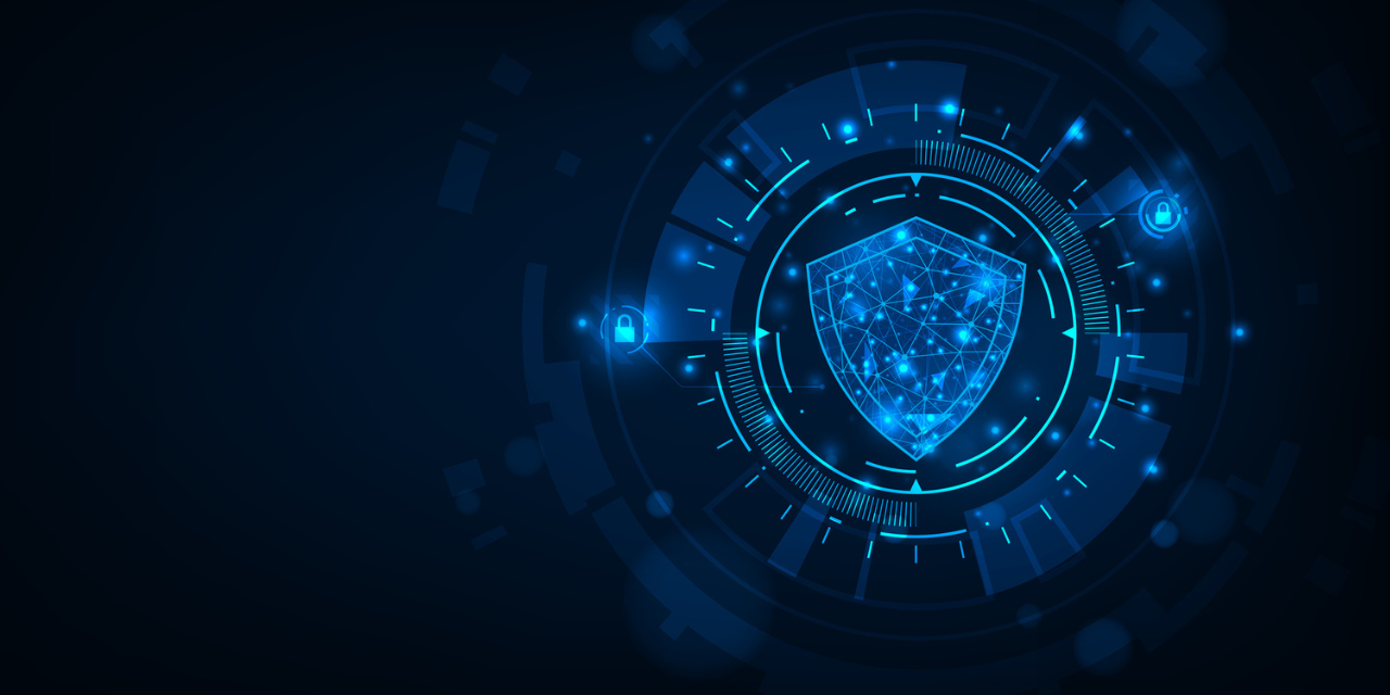 Privacy and Security Enforcement: What Chiropractic Physicians Need to Know Now